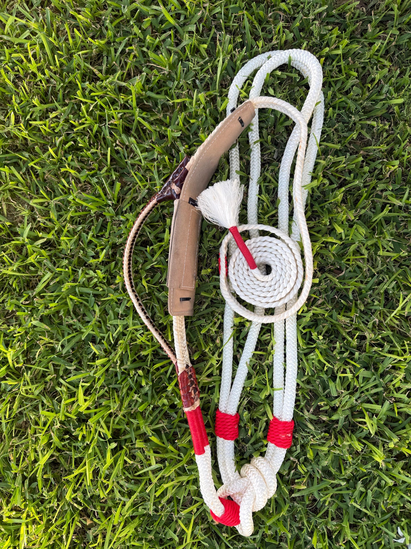 Brazillian Bull Rope Right Hand