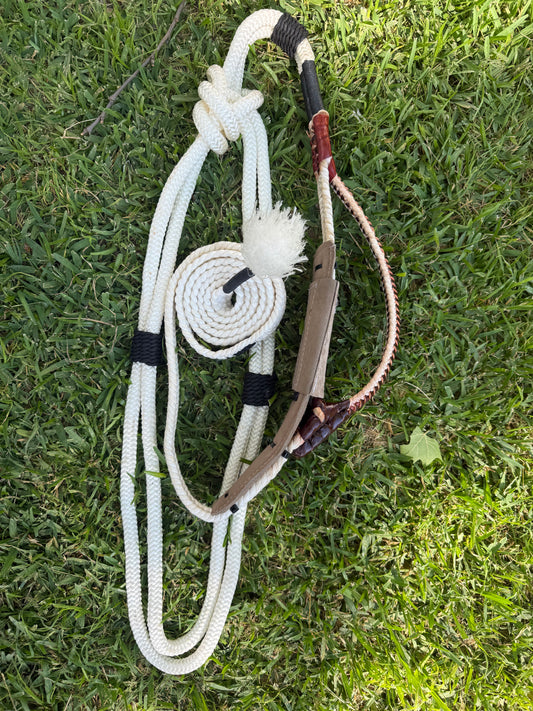 Brazillian Bull Rope Right Hand