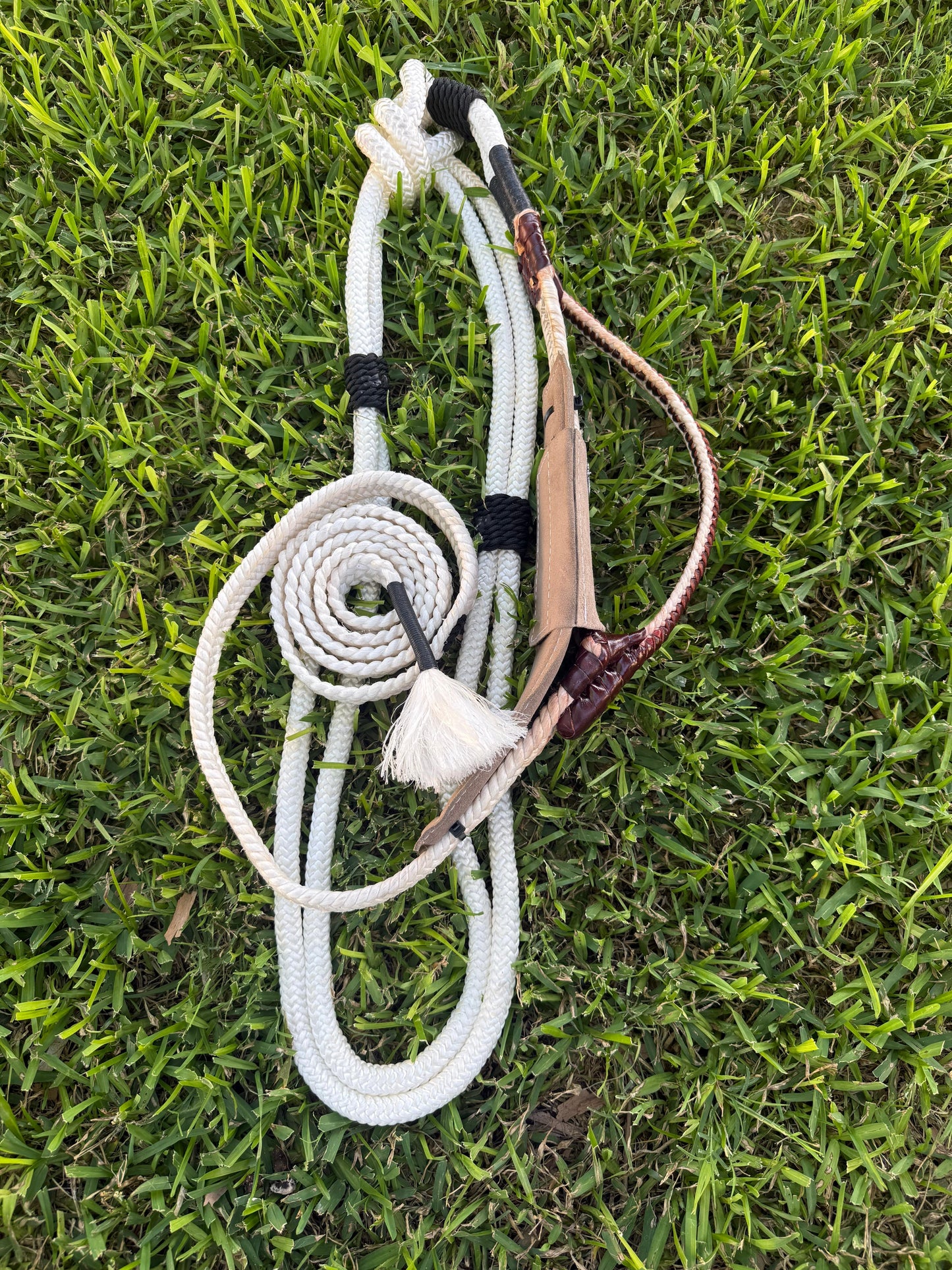 Brazillian Bull Rope Right Hand