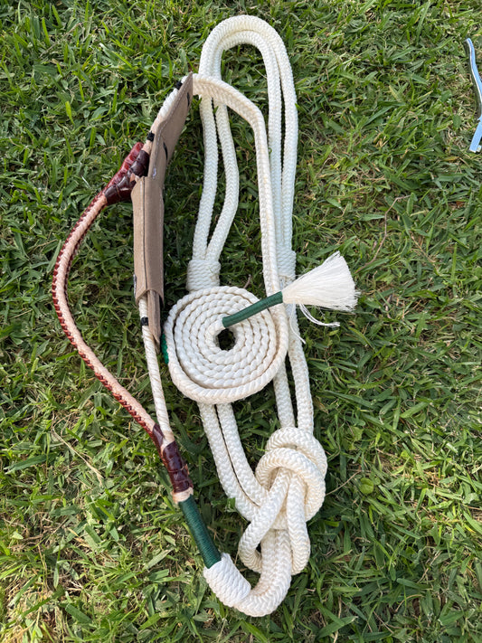 Brazillian Bull Rope Right Hand