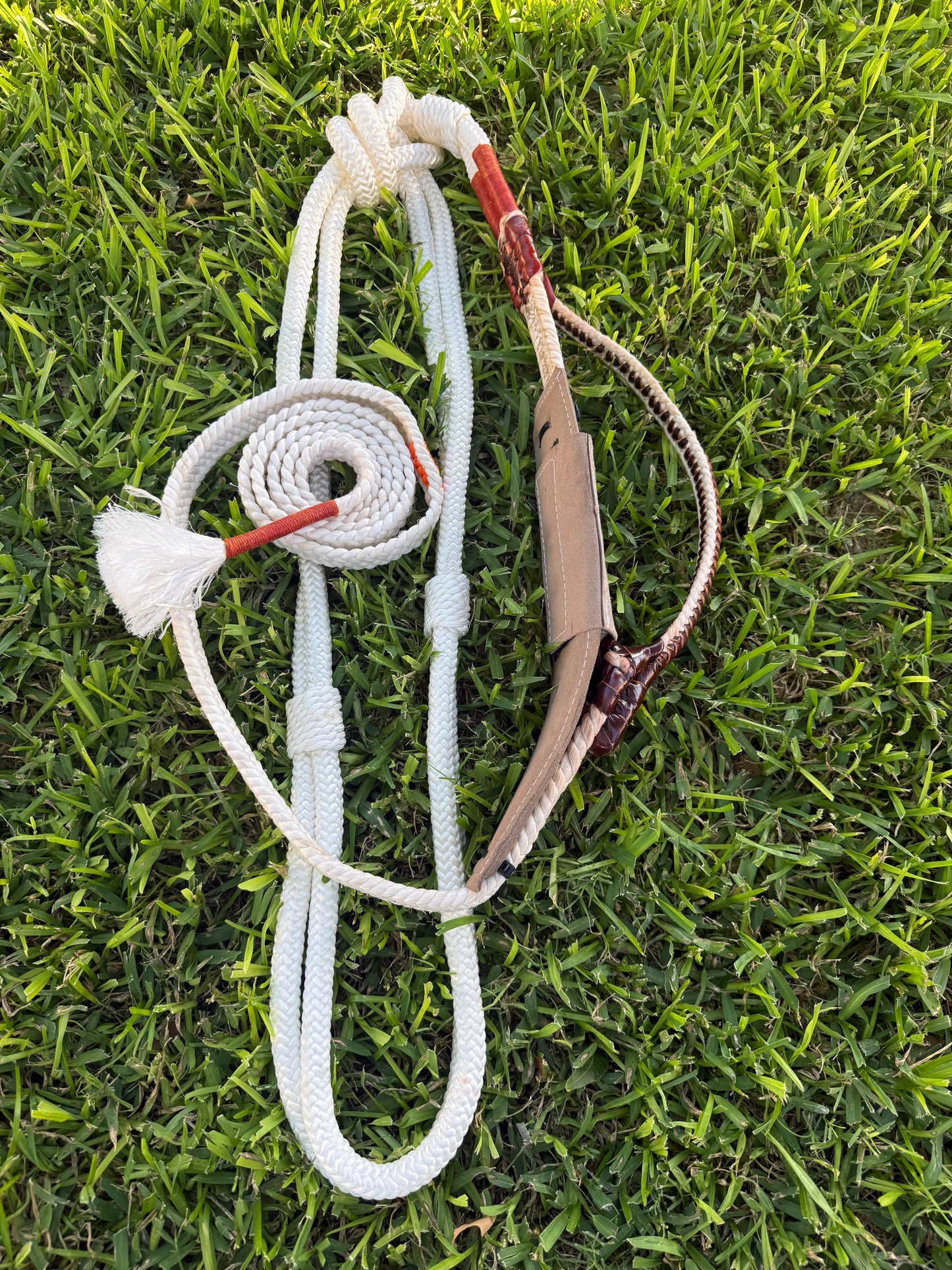 Brazillian Bull Rope Right Hand